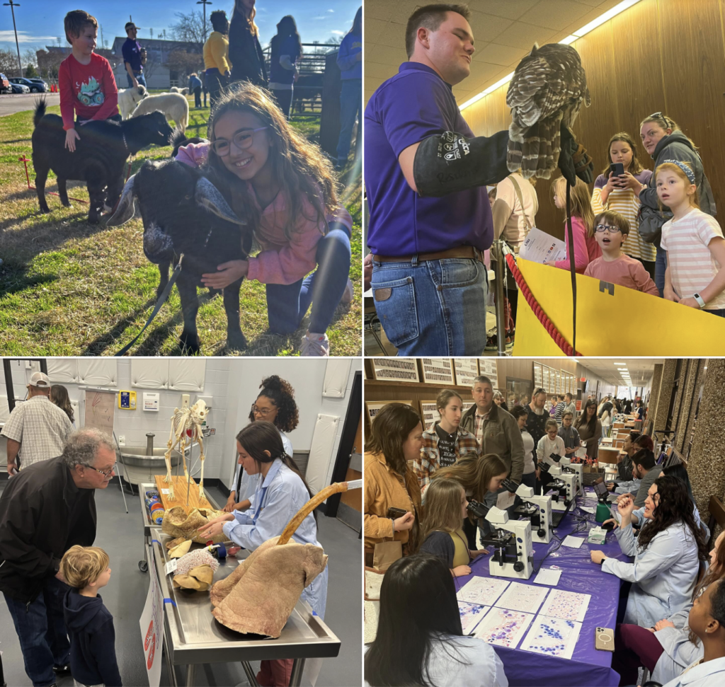 LSU Vet Med Open House